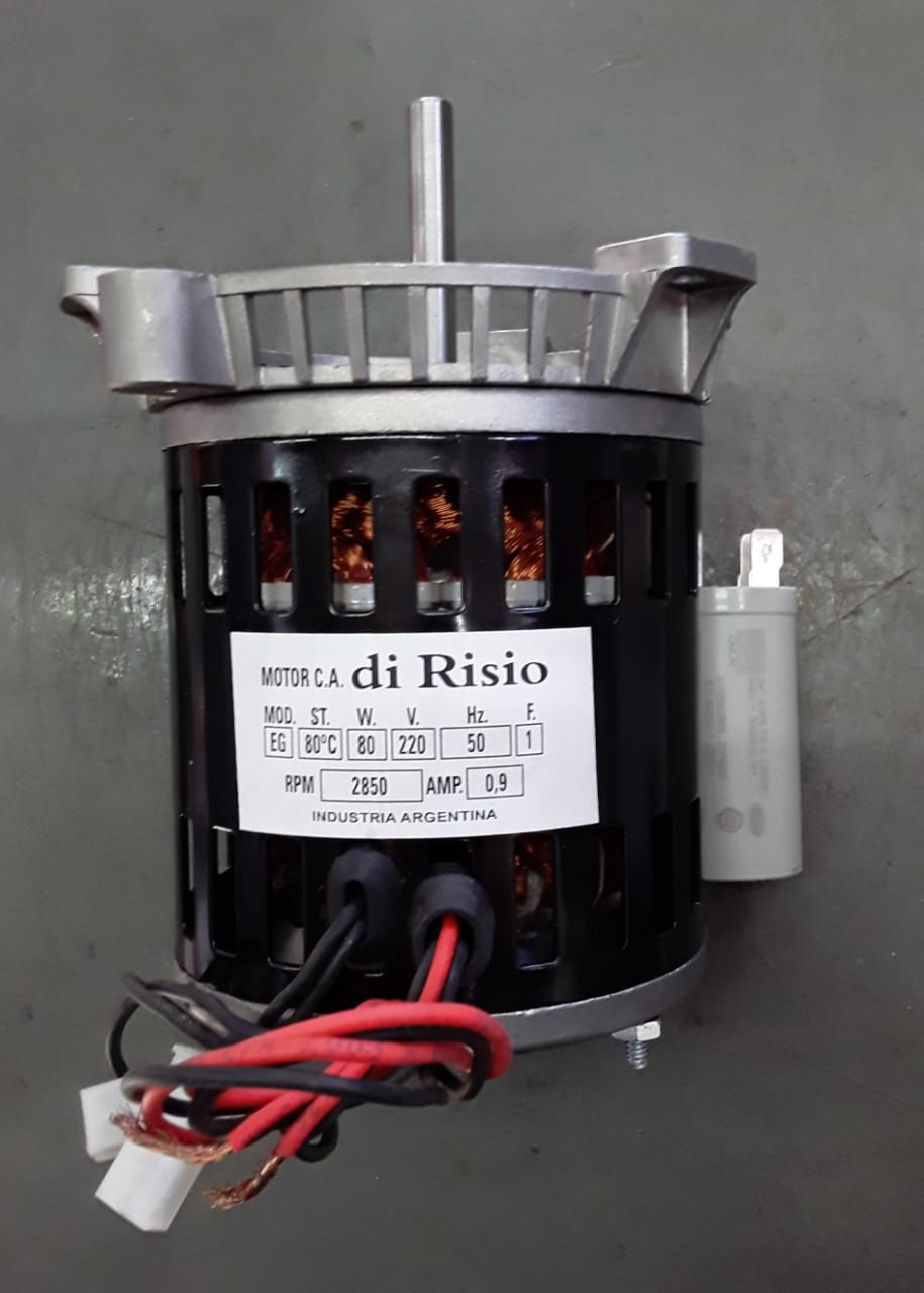 Motor extractor de gases -DI RISIO