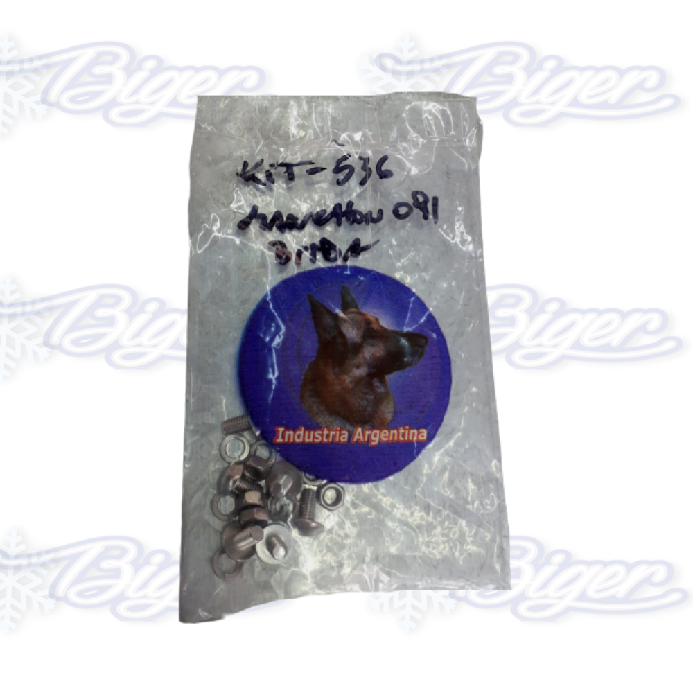 Kit de tornillos para bridas y manchón de lavarropas 091